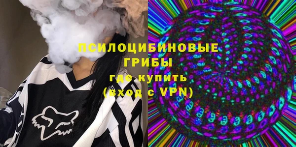дживик Верхний Тагил