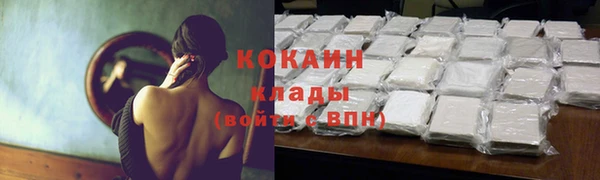 дживик Верхний Тагил