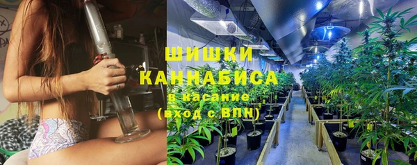 дживик Верхний Тагил