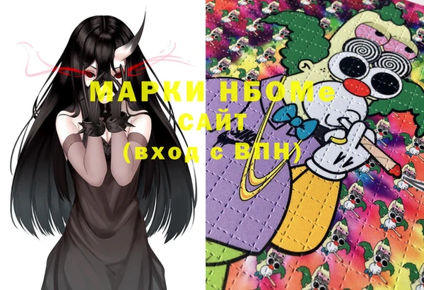 дживик Верхний Тагил