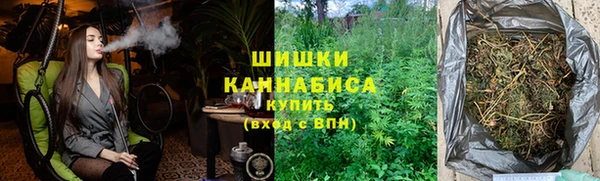 дживик Верхний Тагил