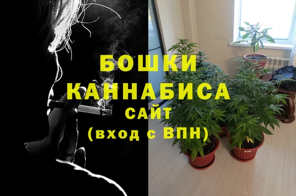 дживик Верхний Тагил