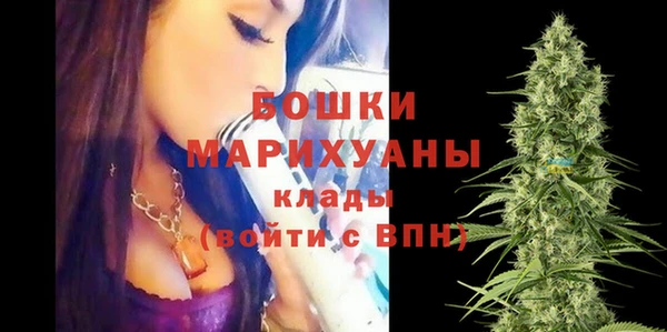 дживик Верхний Тагил