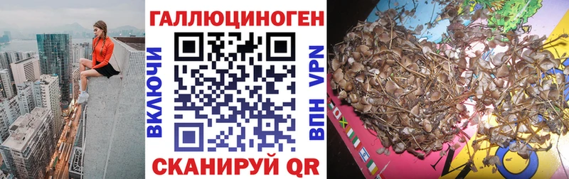 ссылка на мегу ONION  Владимир  Галлюциногенные грибы мухоморы 